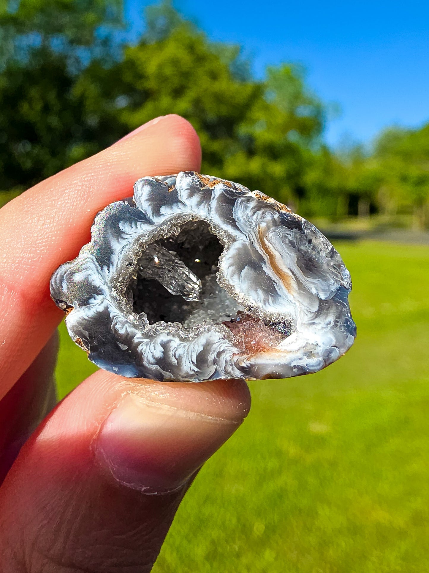 GEODINO CALIDAD EXTRA