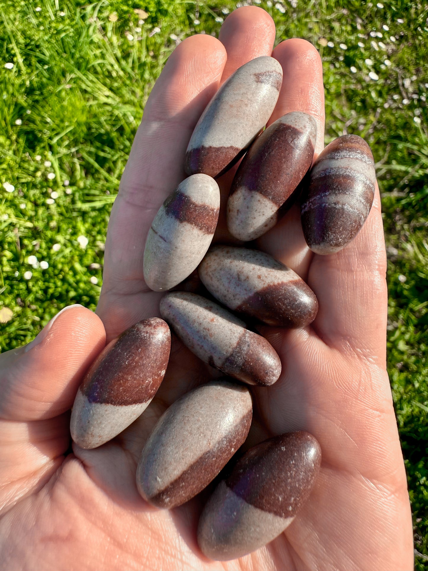 RODADO DE SHIVA LINGAM