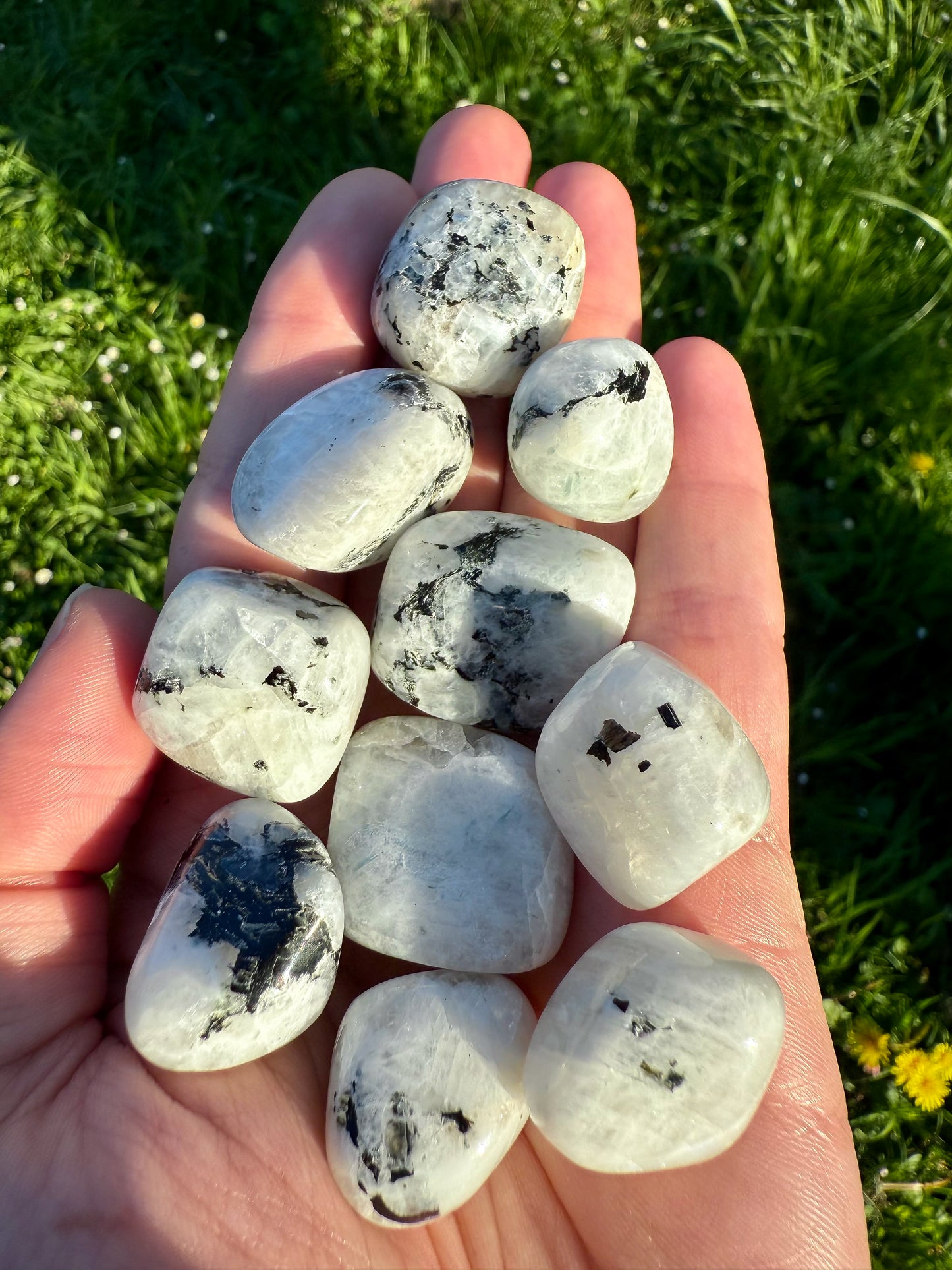 RODADO DE PIEDRA LUNA