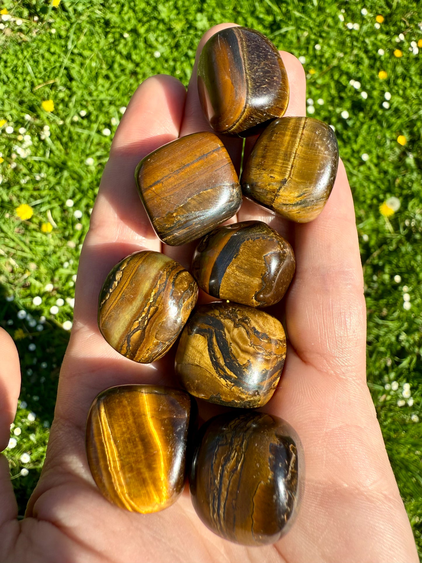 RODADO DE OJO DE TIGRE