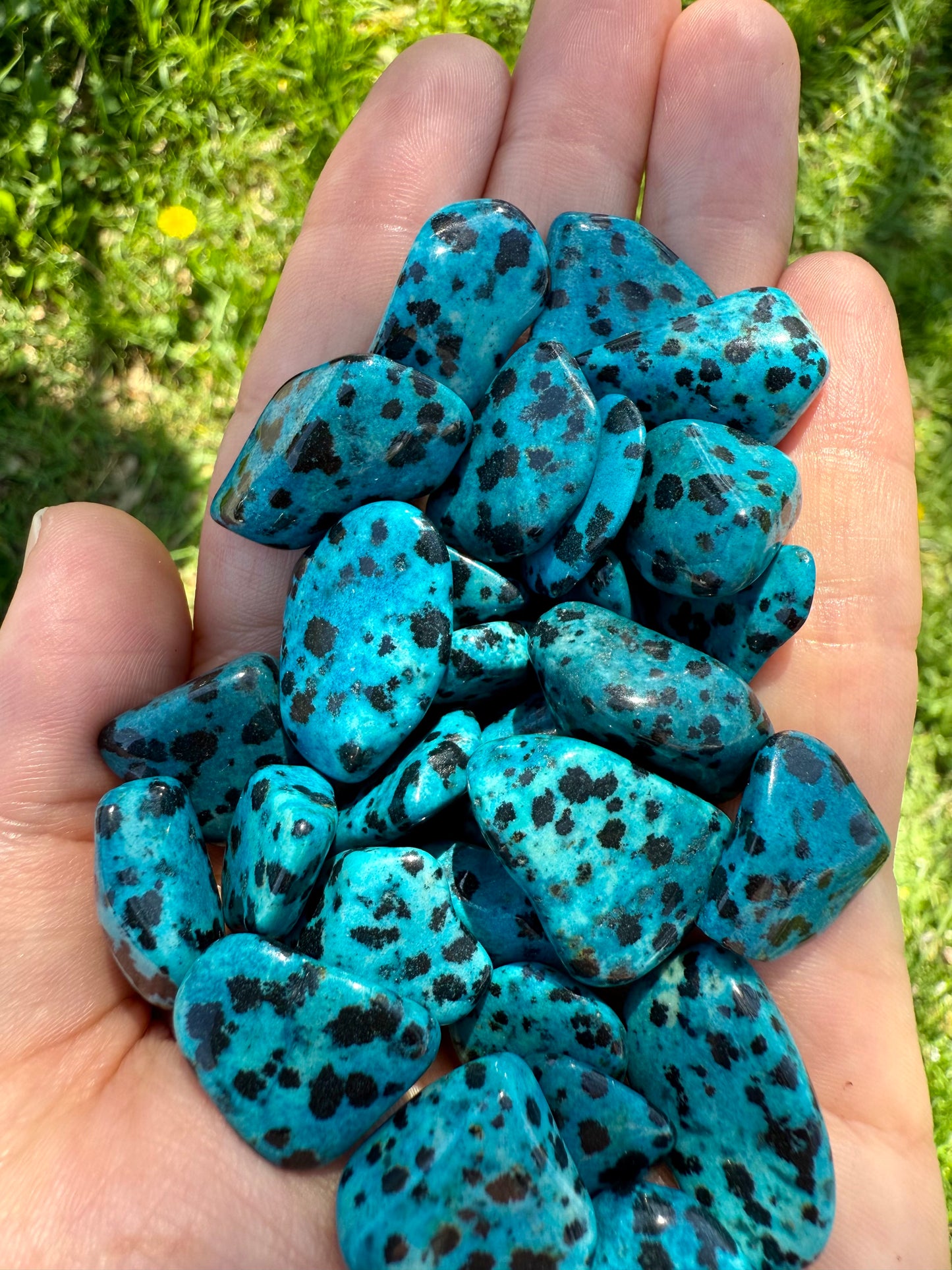 RODADO DE JASPE DÁLMATA AZUL