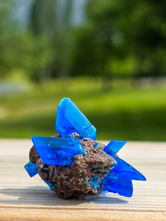 MASIVO DE SULFATO DE COBRE