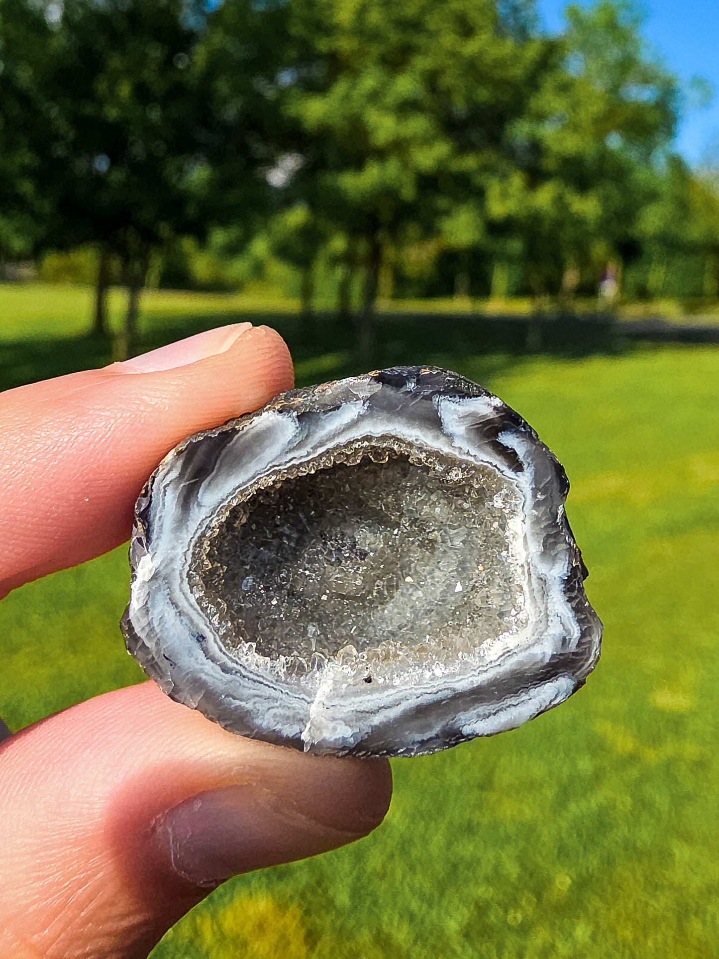 GEODINO CALIDAD EXTRA