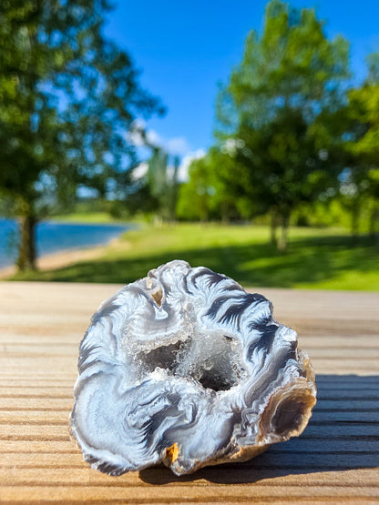 GEODINO CALIDAD EXTRA