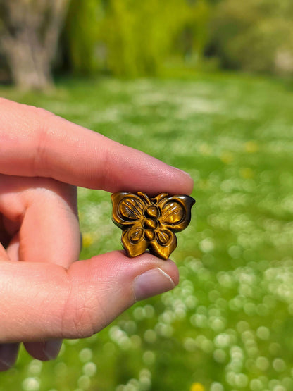 MARIPOSA DE OJO DE TIGRE DE PRIMERA CALIDAD