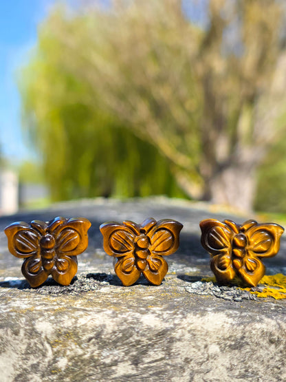 MARIPOSA DE OJO DE TIGRE DE PRIMERA CALIDAD