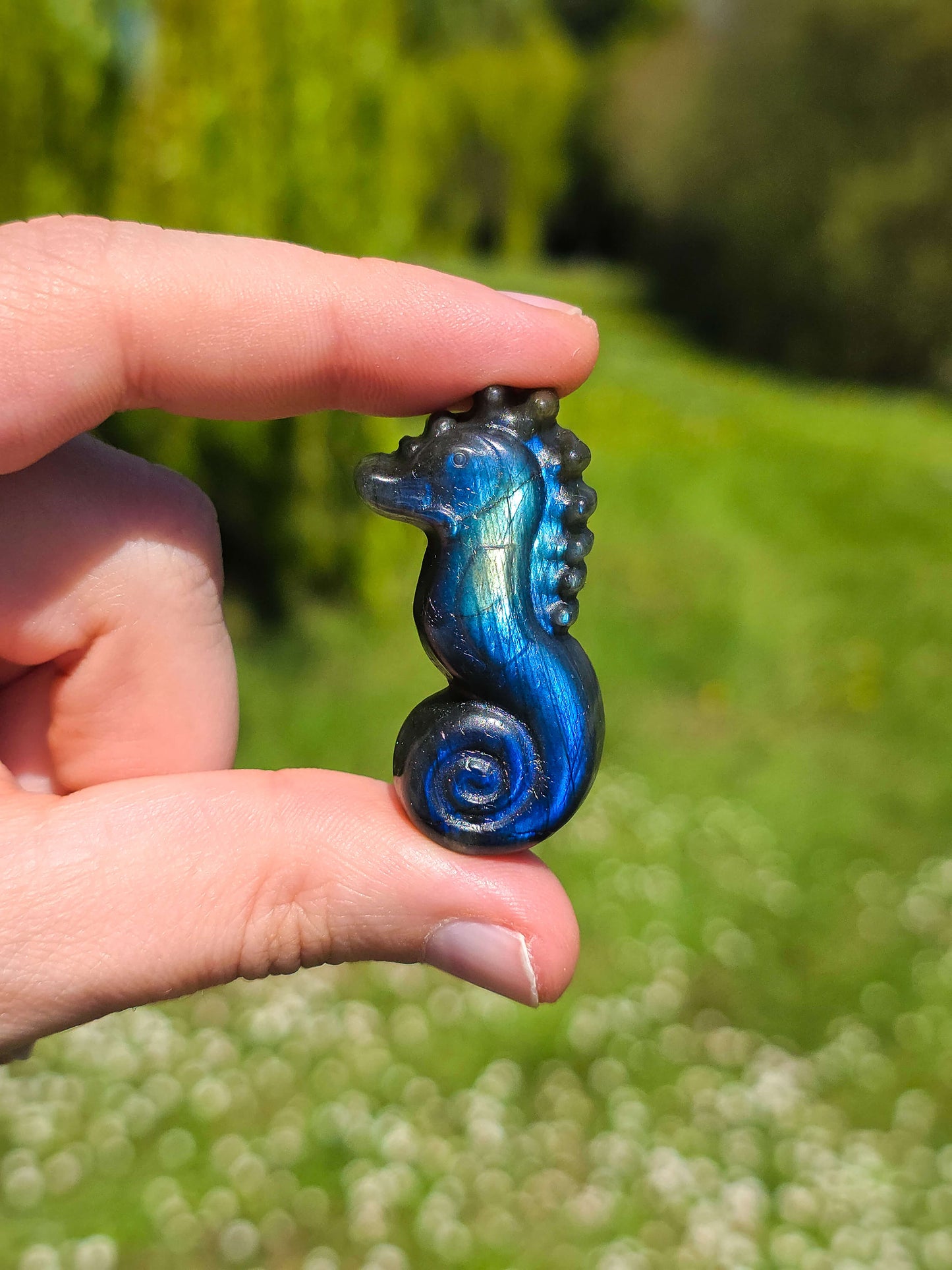 CABALLITO DE MAR DE LABRADORITA DE PRIMERA CALIDAD