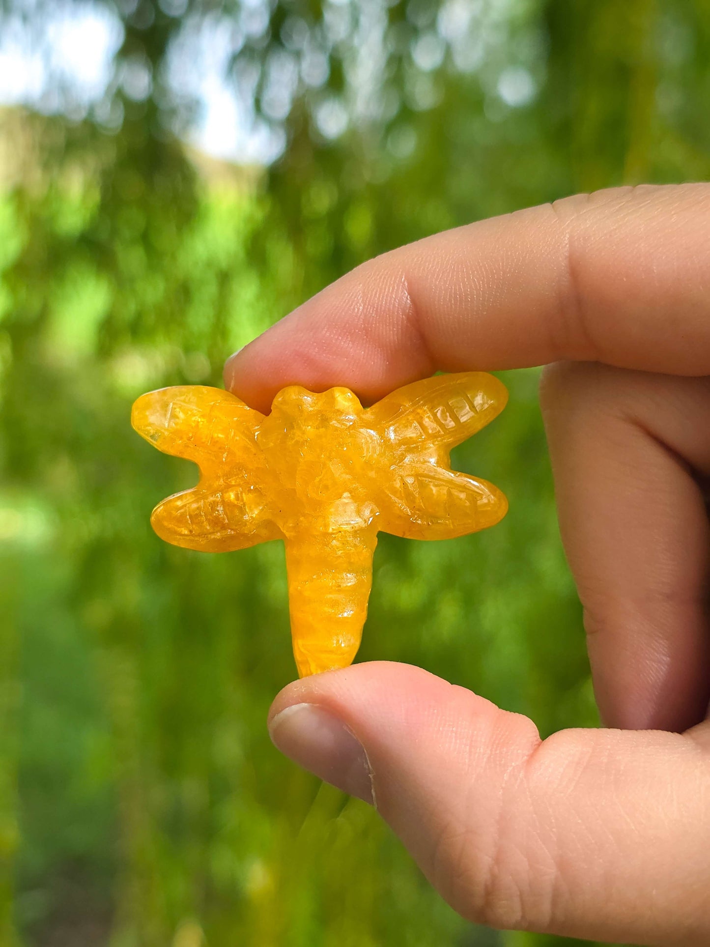 LIBÉLULA DE CUARZO SANADOR DORADO