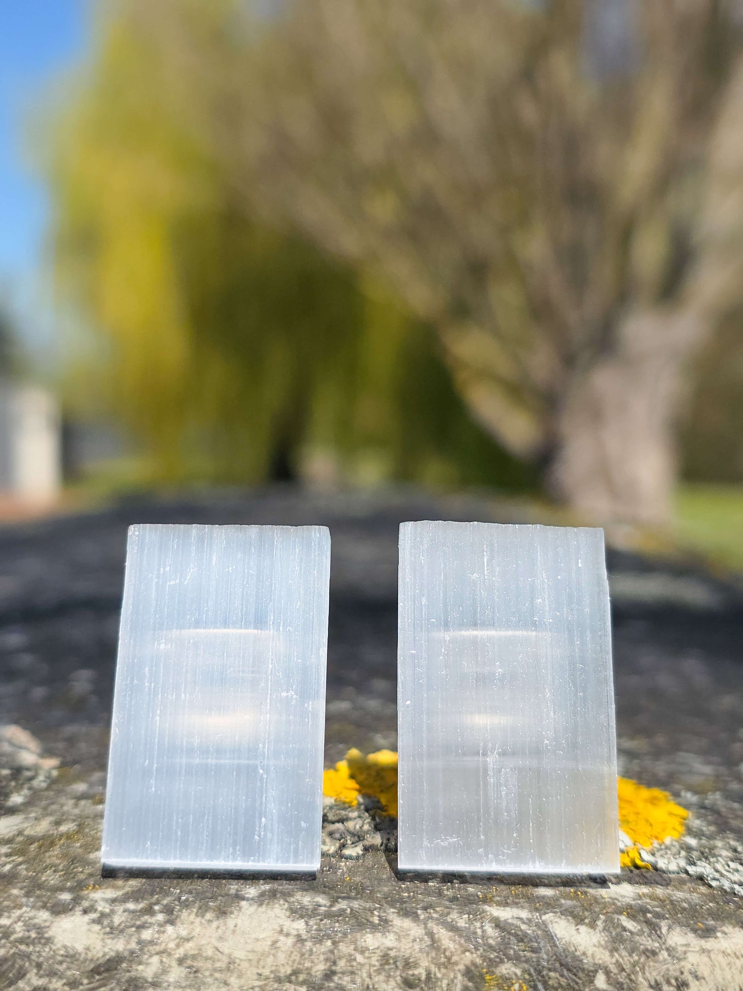 CLIP SELENITA PARA EL COCHE