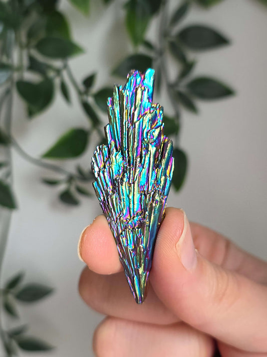 TARAMITA O ESCOBA DE BRUJA ARCOÍRIS