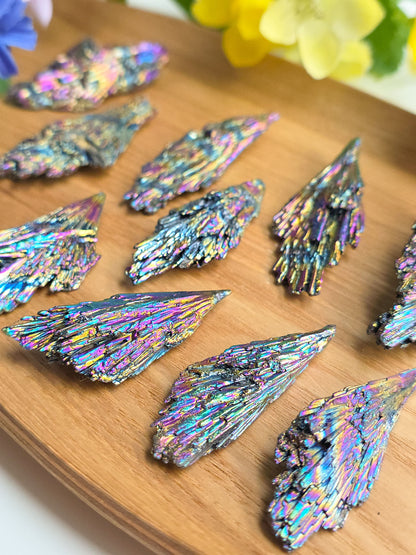 TARAMITA O ESCOBA DE BRUJA ARCOÍRIS