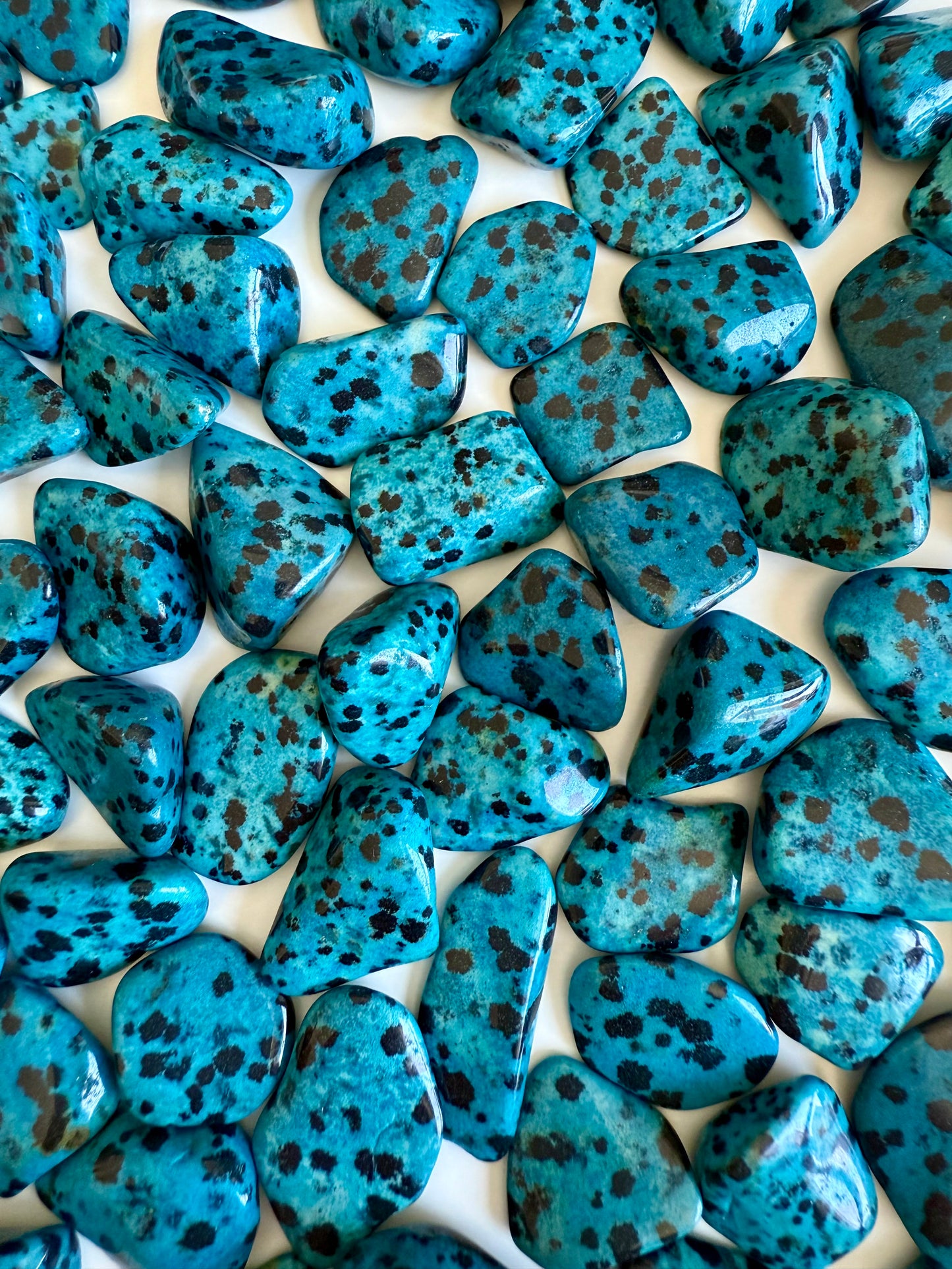RODADO DE JASPE DÁLMATA AZUL