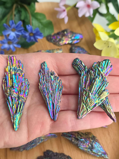 TARAMITA O ESCOBA DE BRUJA ARCOÍRIS